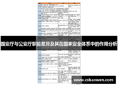 国安厅与公安厅职能差异及其在国家安全体系中的作用分析