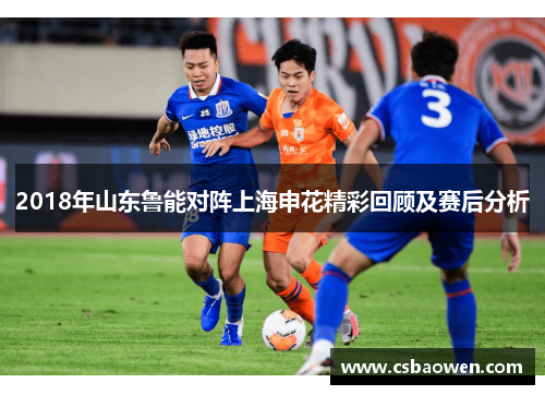 2018年山东鲁能对阵上海申花精彩回顾及赛后分析