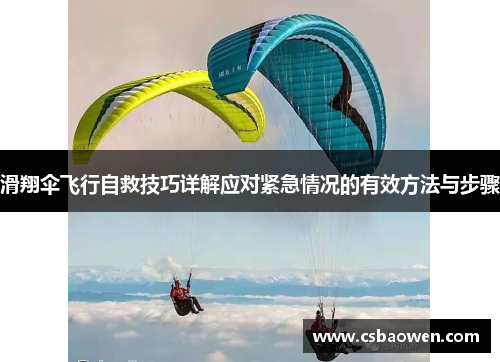 滑翔伞飞行自救技巧详解应对紧急情况的有效方法与步骤
