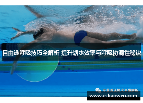 自由泳呼吸技巧全解析 提升划水效率与呼吸协调性秘诀