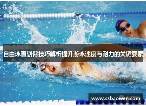 自由泳直划臂技巧解析提升游泳速度与耐力的关键要素